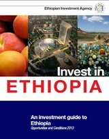 invest in Ethiopia